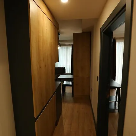Aydin Apart شقة فندقية ترابزون